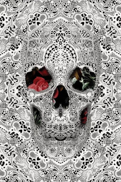 Skulls: Lace Skull II by Ali Gulec