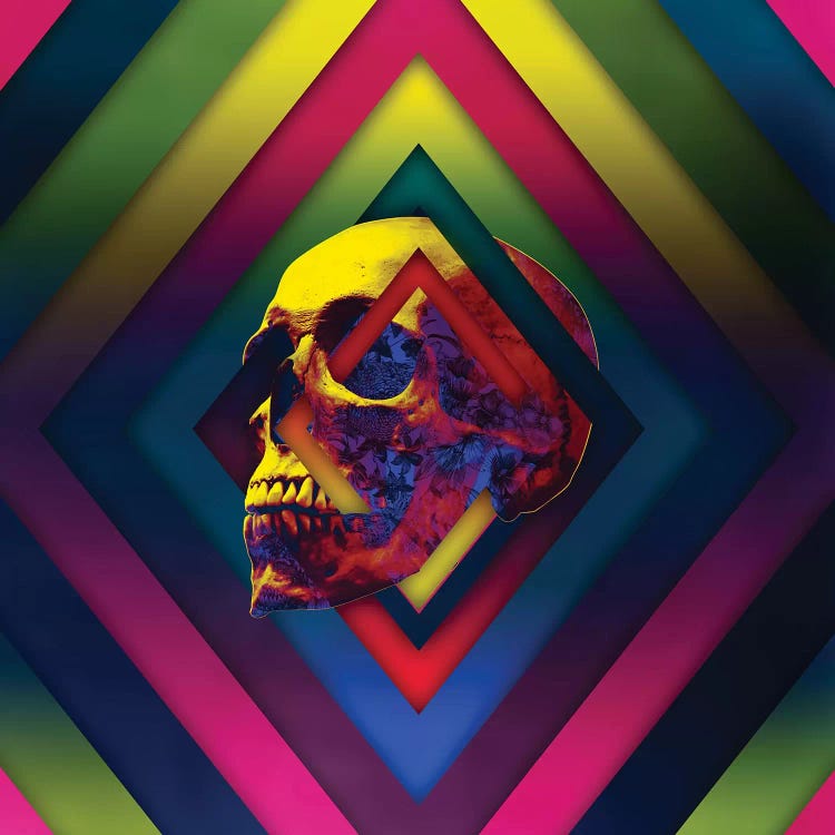 Lifeful Skull II by Ali Gulec wall art