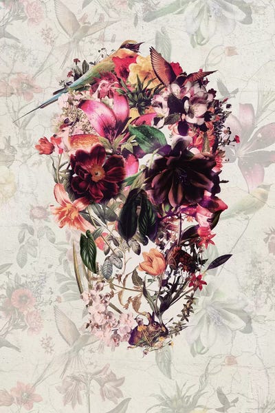 Ali Gulec: New Skull by Ali Gulec