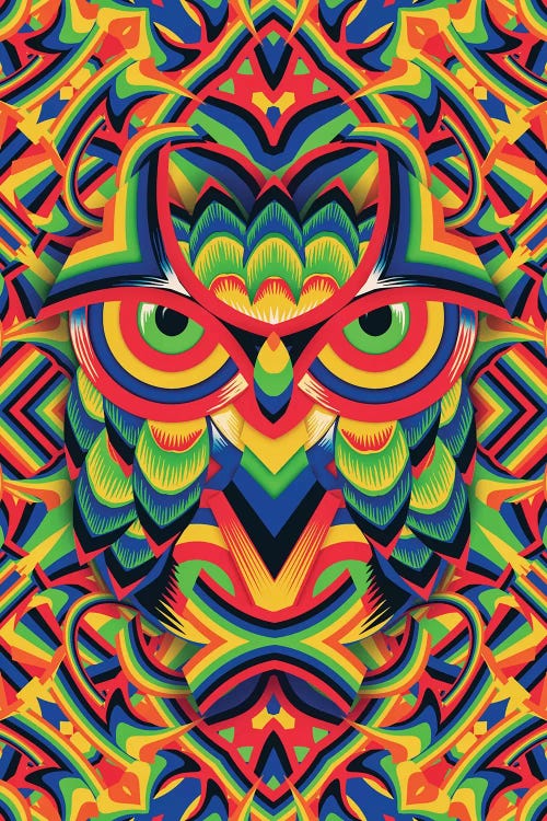 Owl 3