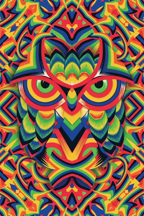 Owl 3 by Ali Gulec wall art