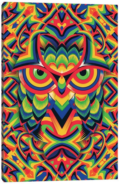 Owl 3 Canvas Art Print - Ali Gulec