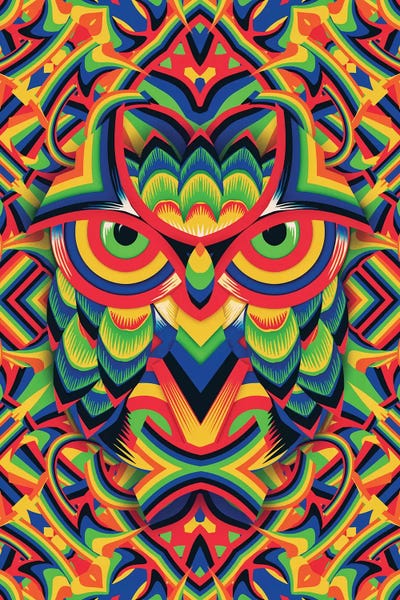 Owls: Owl 3 by Ali Gulec