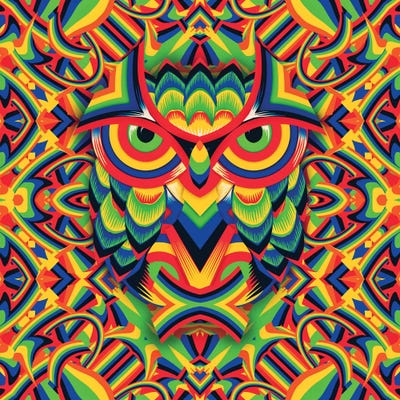 Owl 3, Square by Ali Gulec acrylic art print