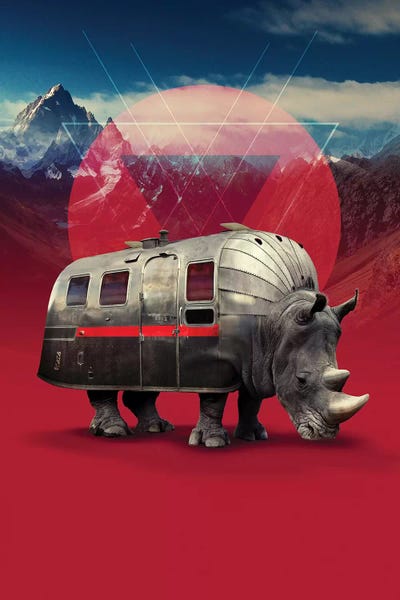 Rhinoceroses: Rhino by Ali Gulec