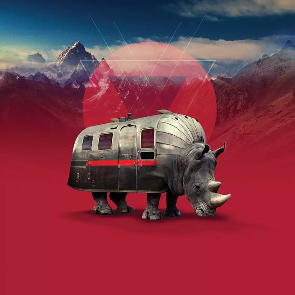 Rhinoceroses: Rhino, Square by Ali Gulec