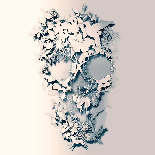 Skulls: Simple by Ali Gulec