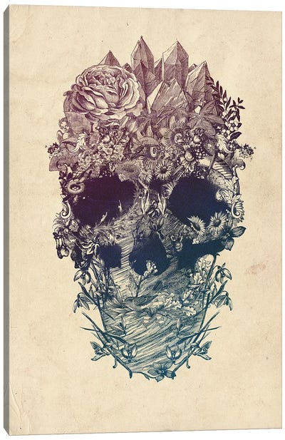 Skull Floral Canvas Art Print - Ali Gulec