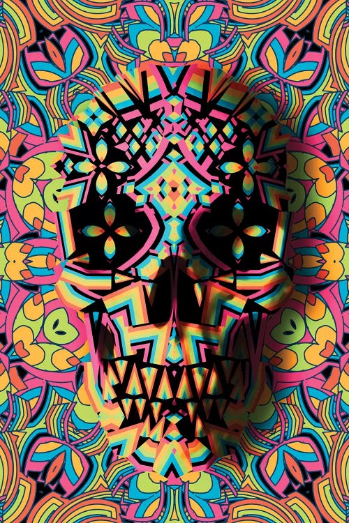 Skull Geo by Ali Gulec wall art