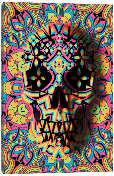Skull Geo Canvas Art Print - Vivid Graphics