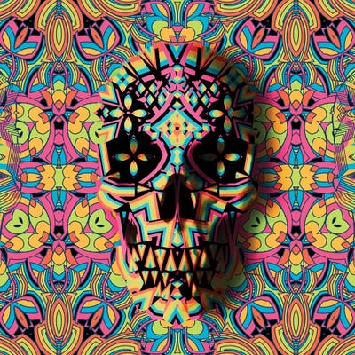 Skull Geo, Square by Ali Gulec acrylic art print