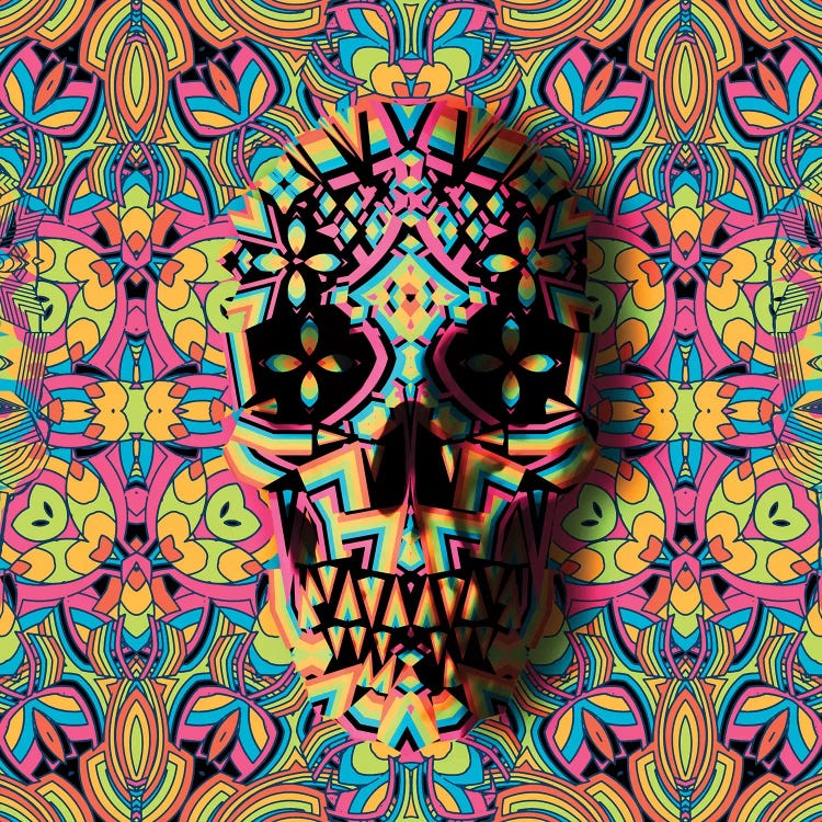 Skull Geo, Square by Ali Gulec wall art