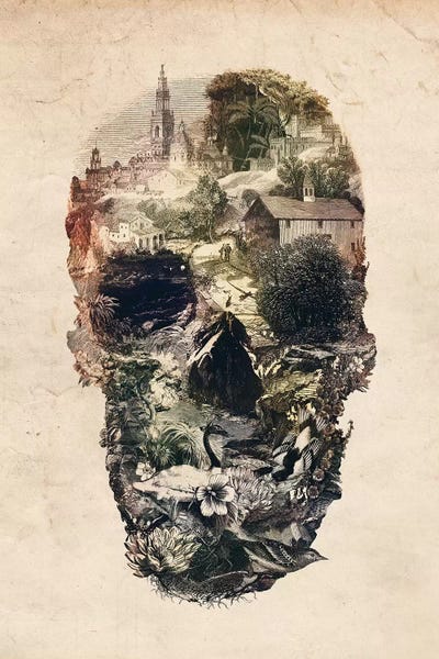 Skull Town by Ali Gulec canvas print