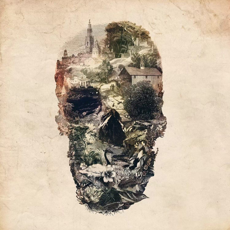 Skull Town by Ali Gulec wall art