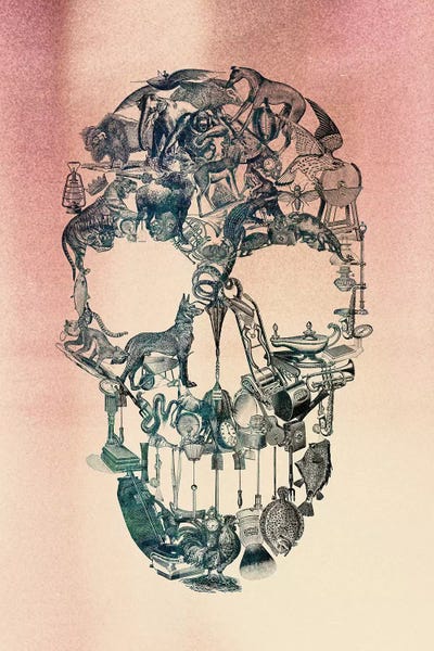 Skull Vintage Canvas Artwork By Ali Gulec | ICanvas