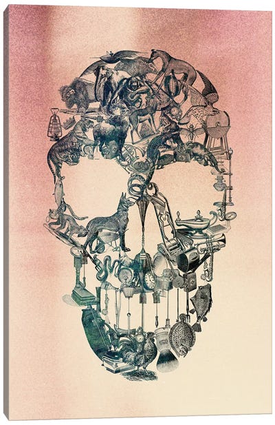 Skull Vintage Canvas Art Print - Ali Gulec