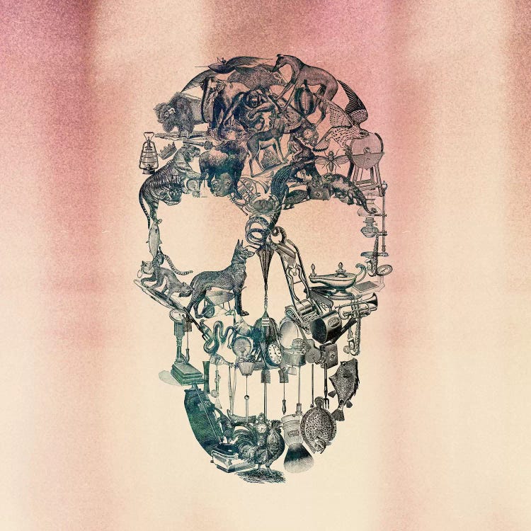 Skull Vintage, Square by Ali Gulec wall art