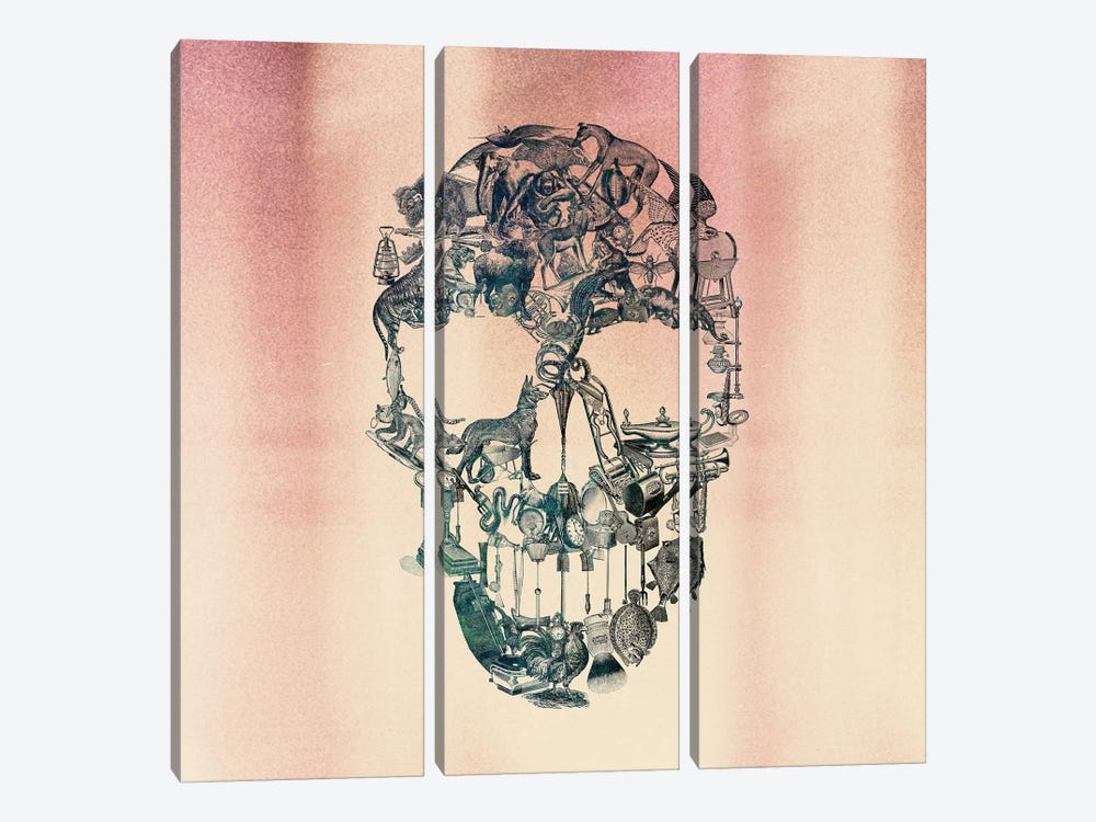 Skull Vintage, Square by Ali Gulec 3-piece Canvas Print