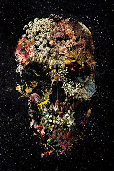 Skulls: Smyrna by Ali Gulec