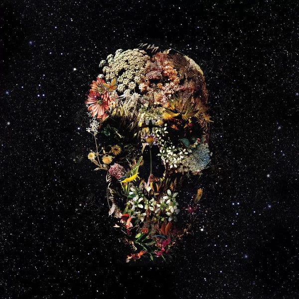 Skulls: Smyrna, Square by Ali Gulec