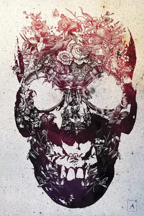 Floral Skull by Ali Gulec wall art