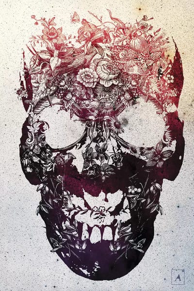 Goth Art: Floral Skull by Ali Gulec