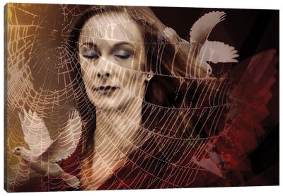 The Veil Of Delusion Canvas Art Print - Angelika Drake