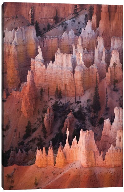 Utah Canvas Art Print - Sunset Shades