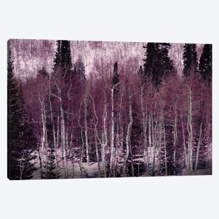 Winter Sciene Canvas Print #AGD121} by Angelika Drake Canvas Wall Art