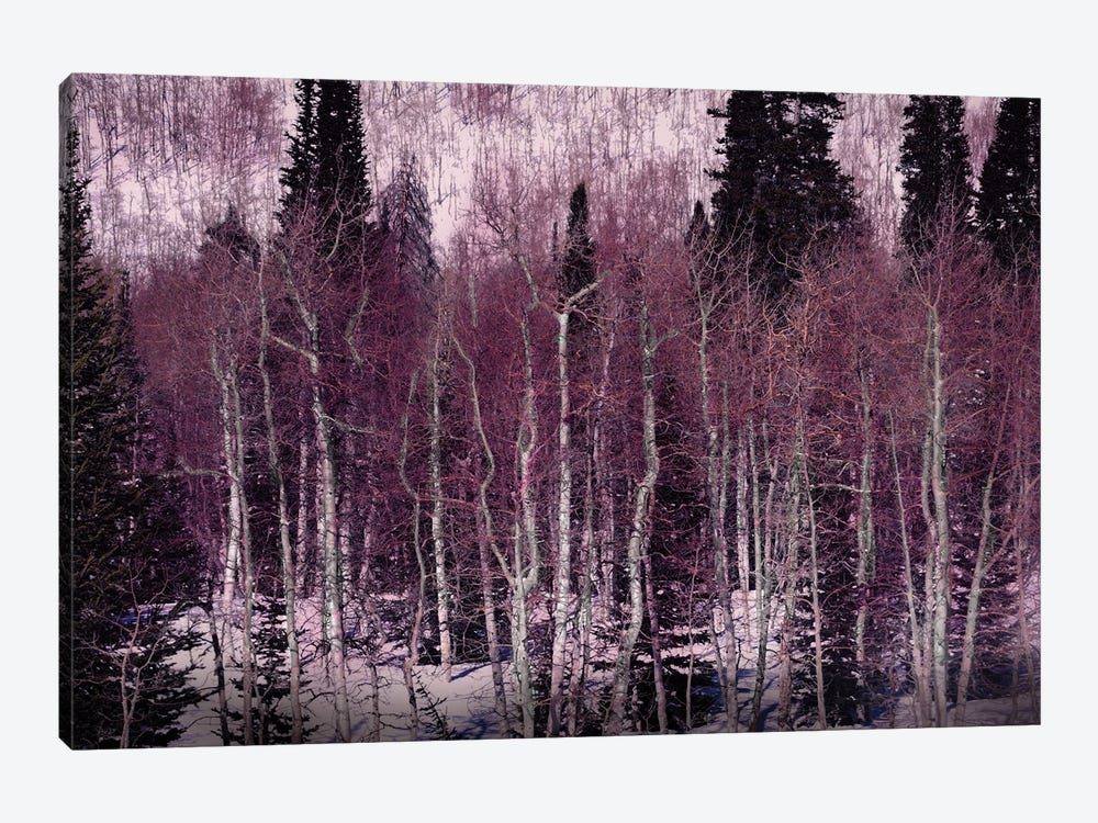 Winter Sciene by Angelika Drake 1-piece Canvas Print