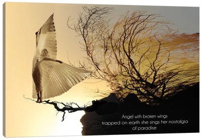 Angel With Broken Wings Canvas Art Print - Wings Art
