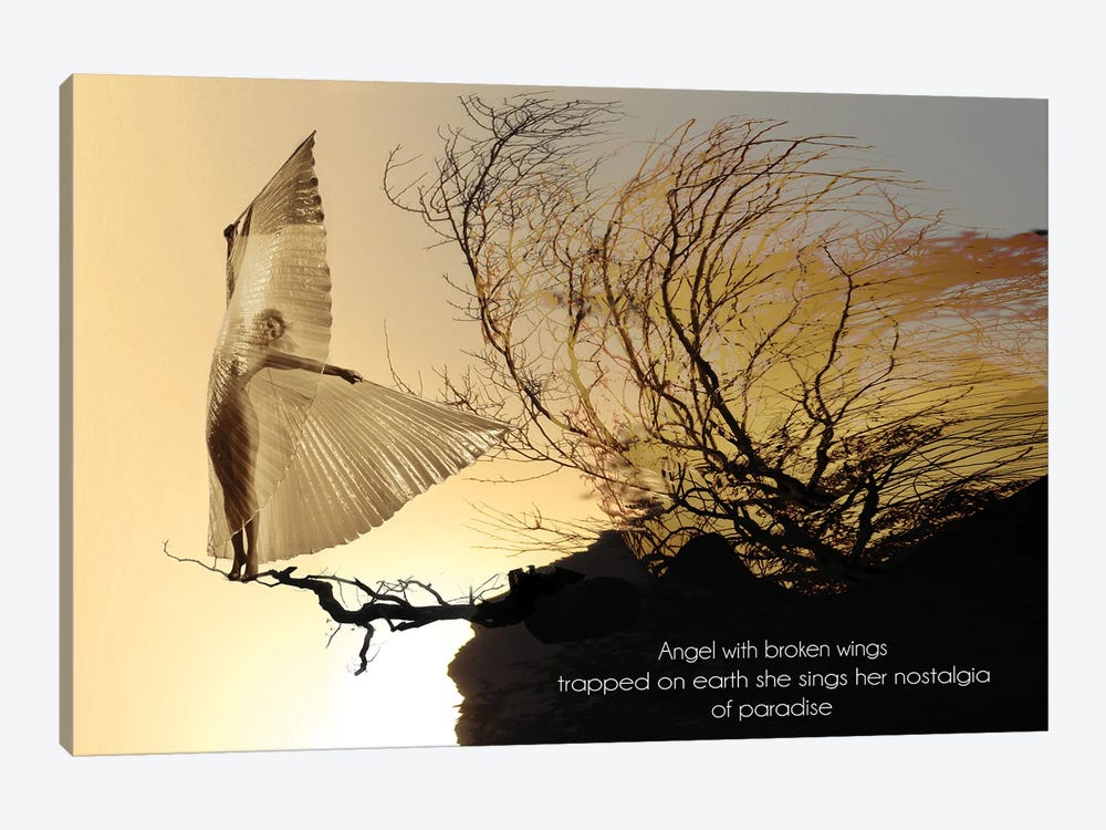 Angel With Broken Wings by Angelika Drake 1-piece Canvas Wall Art