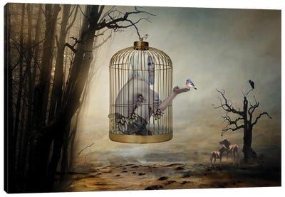 Caged By Your Own Convictions Canvas Art Print - Angelika Drake