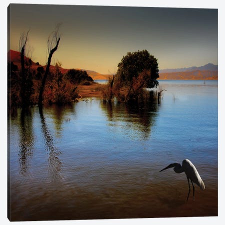 Duck Pond Canvas Print #AGD7} by Angelika Drake Canvas Art