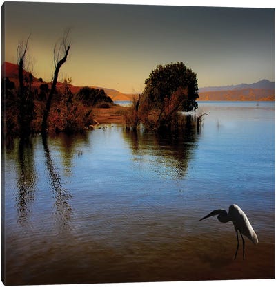 Duck Pond Canvas Art Print - Heron Art