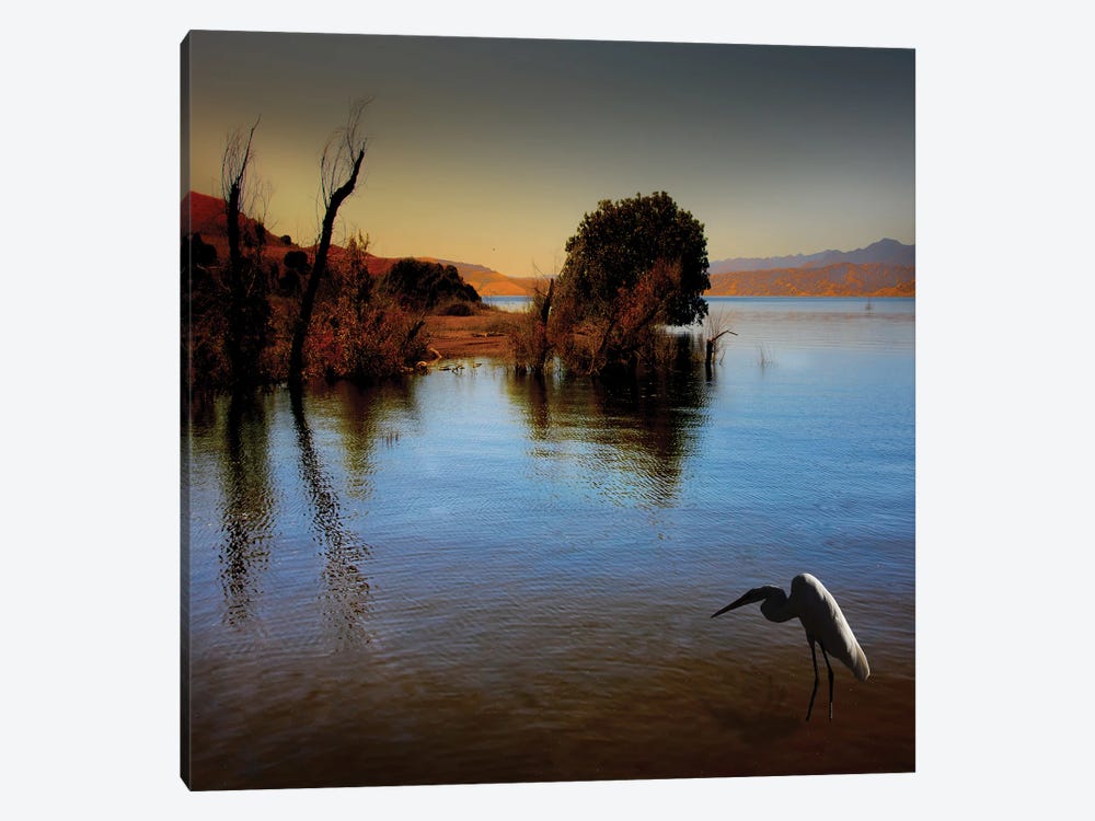 Duck Pond by Angelika Drake 1-piece Canvas Print
