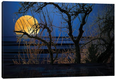 Moon Vision Canvas Art Print - Night Sky Art