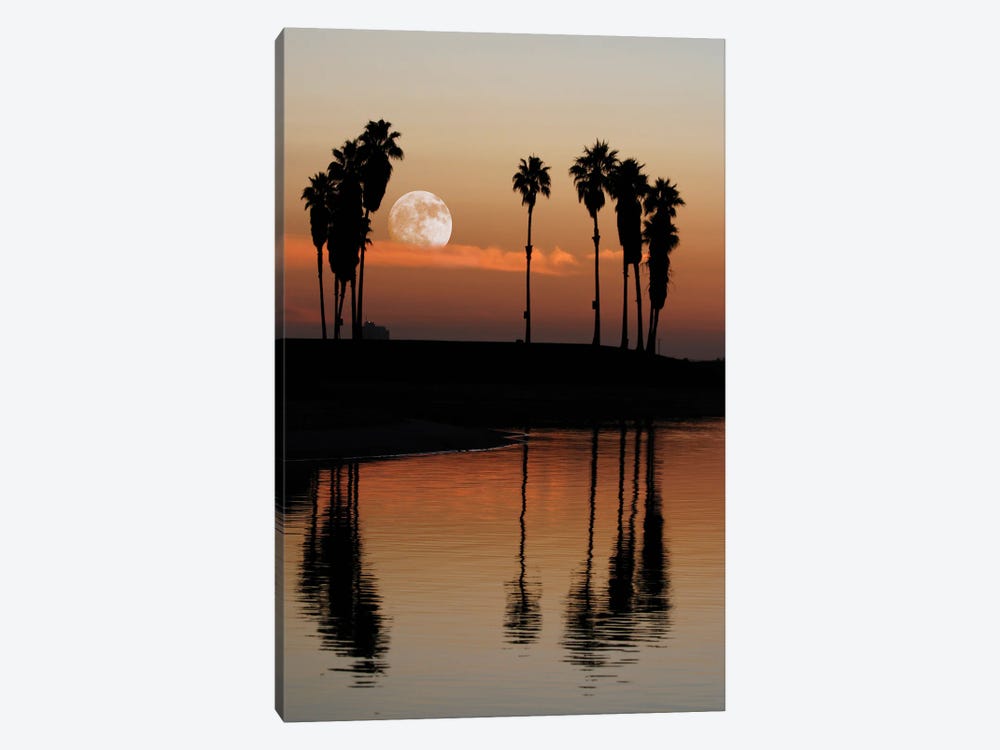 Moon Rise by Angelika Drake 1-piece Canvas Art