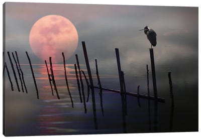 The Holiness Of Nature Canvas Art Print - Angelika Drake