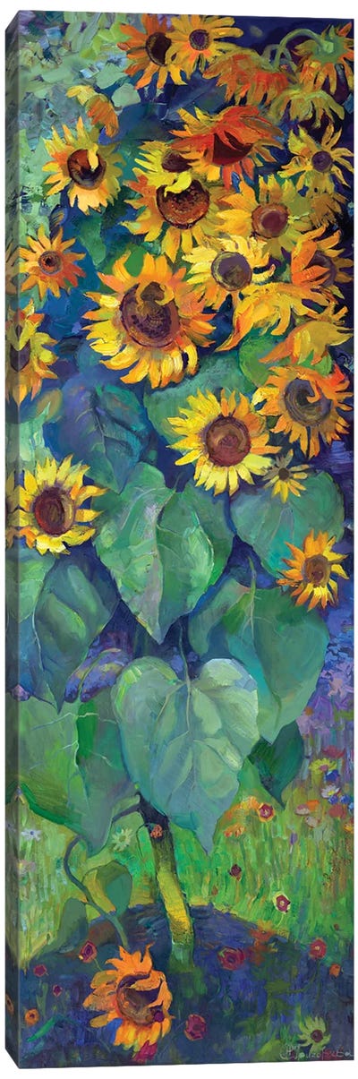 One Sunflower Canvas Art Print - Anastasiia Grygorieva