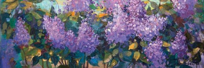 Lilacs