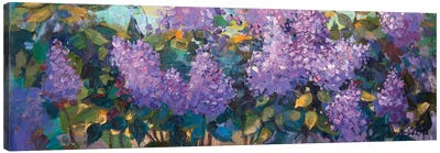 Lilac Canvas Art Print - Anastasiia Grygorieva