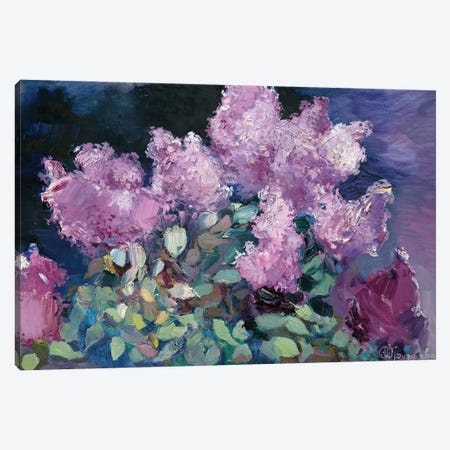 Night Lilac Canvas Print #AGG137} by Anastasiia Grygorieva Canvas Artwork