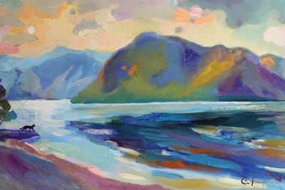 The Cat's Journey by Anastasiia Grygorieva canvas print