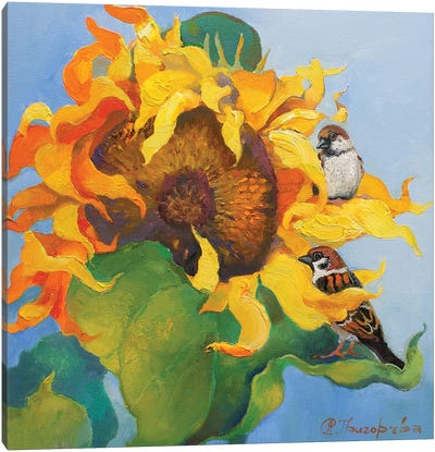 Summer Day On Sunflower Canvas Art Print - Anastasiia Grygorieva