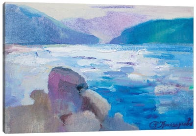 Coast In Montenegro Canvas Art Print - Anastasiia Grygorieva