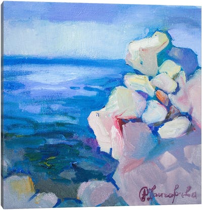 Coast In Budva Canvas Art Print - Anastasiia Grygorieva