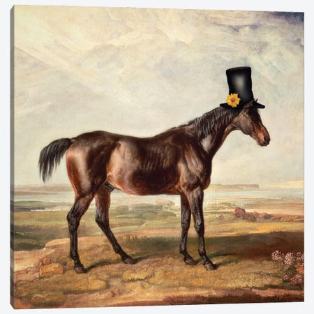 Top Hat Horse Canvas Print #AGH12} by Ark & Ghosts Canvas Art Print