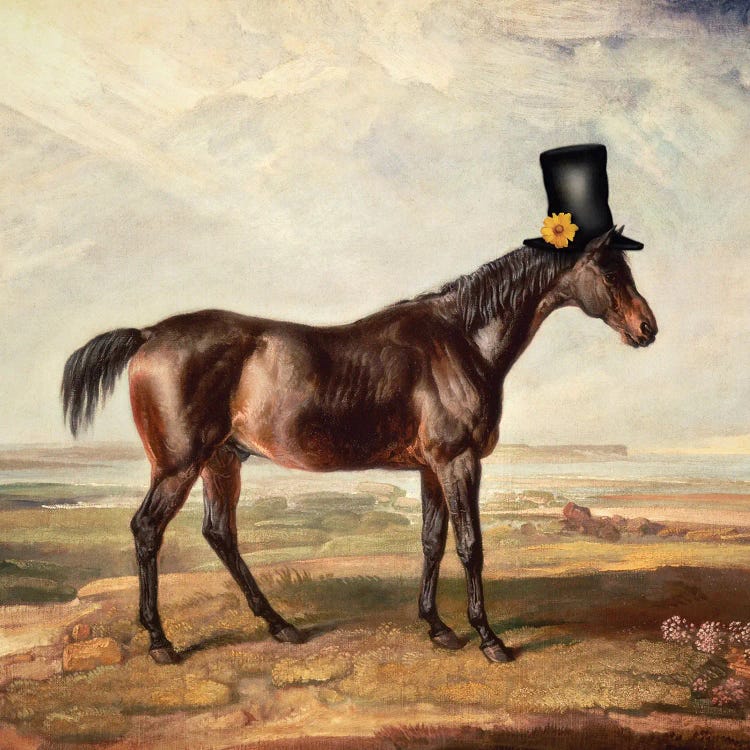 Top Hat Horse