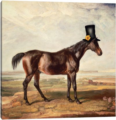 Top Hat Horse Canvas Art Print - Ark & Ghosts